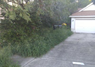 2-1-OF-CITY-CODE-VIO.-LAWN-SVC.-BEFORE-PIC